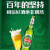 青岛啤酒（TsingTao）经典系列 大容量浓郁麦香600ml*12瓶 整箱装 五一出游