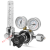 短云双表标准气体流量计减压阀压力表YQB-731LS-1.5L小钢瓶尾气检测 50升双表调压0.6mpa
