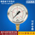 威卡压力表EN837-1耐震不锈钢压力表213.53.063真空 0-0.1MPa/0-1bar