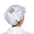 厚创防静电帽子透气 无尘洁净室电子厂工作帽舒适耐用 圆帽 白色