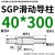 SGP滑动导柱导套精密五金冷冲压铸模具配件加硬模架外导向柱组件 40*300 默认