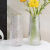 桃李世家日杂小件n玻璃透明花瓶摆件客厅插花干花鲜花富贵竹水培花瓶家用 竖纹一个+水波纹一个 不带金边