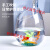 OIMG玻璃水培植物花瓶透明斜口鱼缸斜口黄金葛水培水培器皿水族 15斜口(空缸)