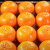 云南沃柑纯甜橘子桔子当季新鲜水果柑橘 特大果【果径77-84mm】 3斤