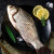 太湖海【有机淡水鱼】南都湖河鲜 三去生鲜鱼类海鲜水产 有机鲫鱼（500g/袋*5袋）