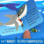 揭秘海洋 儿童图解探秘系列3d立体书 宝宝儿童启蒙认知早教益智撕不烂科普百科海底世界海洋动物科普百科玩具书