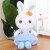 毛绒玩具小白兔兔子公仔布娃娃可爱女孩布偶小兔子玩偶生肖兔生日情人礼物 紫色甜心兔 40厘米