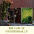王尔德精选集系列 共3册 自深深处+道连·格雷的画像+夜莺与玫瑰：王尔德童话全集