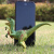 壹盒惊喜 恐龙玩具 雷克斯暴龙+伶盗龙 创意儿童节礼物益智类科教玩具侏罗纪百科仿真动物塑胶模型