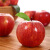 法国进口加力果 苹果 12个装 单果约140g-180g 新鲜水果