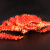 大洋世家 熟冻智利帝王蟹 1.8-2.0kg 1只 盒装 海鲜水产