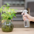 家の物语（KATEI STORY）日本浇花喷壶手压式喷雾器园艺多肉盆栽浇水壶美发补水小喷瓶消毒