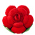 优观 玫瑰花抱枕创意靠垫毛绒玩具情人节结婚婚庆生日礼物女 红色 30厘米连叶子