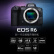 佳能（Canon)EOS R6机身 全画幅专业微单数码照相机视频直播高清相机 单机身（含相机包）