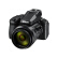 尼康（Nikon）COOLPIX P950 轻便型 数码相机 高倍变焦远摄（长焦望远 /观鸟/演唱会）