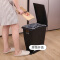 天马（TENMA） 日本脚踏垃圾桶家用厨房客厅卧室有盖塑料垃圾筒垃圾篓大号 20L