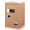 【顺丰上楼】得力（deli）保险箱/保险柜系列 保管箱家用小型床头电子密码 4079A 香槟色 高60cm