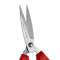 齐心（COMIX） 齐心剪刀 剪子剪刀塑料办公大剪刀安全不锈钢 172mm大手柄 一把