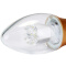 佛山照明（FSL） LED尖泡水晶灯节能灯泡小口E14暖白光3000K 3W 明珠金色