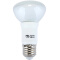 佛山照明（FSL）LED浴霸灯泡大口E27蘑菇泡反射灯泡4.5W白光