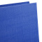 齐心（COMIX）A106A 经济型快劳夹/文件夹A4 3寸 蓝色