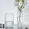 豪斯特丽（HOSTLY） 欧式矿石方形纹理透明玻璃花瓶 办公室客厅工艺品摆件 插花花瓶 高25cm