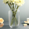 豪斯特丽（HOSTLY） 欧式矿石方形纹理透明玻璃花瓶 办公室客厅工艺品摆件 插花花瓶 高25cm
