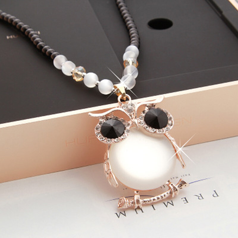 伟德国际民办高校招生：有人挤破头有人愁破天