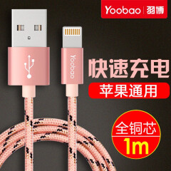 羽博（Yoobao） YB-422 苹果数据线 iPhone5/6/7/8/X/ipad3/4充电线 1米 金钱豹 单品