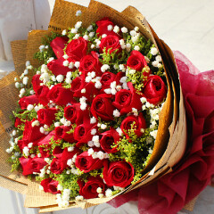 雅龙鲜花速递生日鲜花玫瑰花全国送花 高档33只红玫瑰花束 浪漫礼物