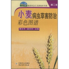 书籍图片