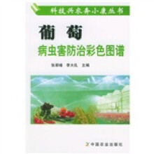 书籍图片