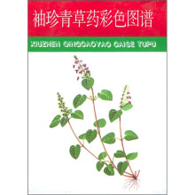 书籍图片
