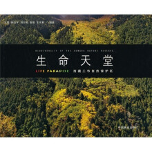 书籍图片