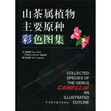 书籍图片