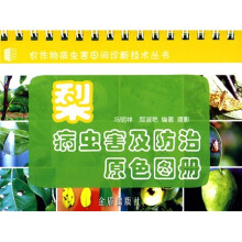 书籍图片