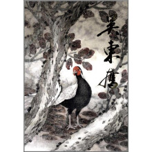 书籍图片