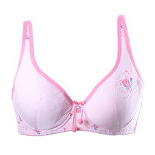 怡兰芬正品少女学生内衣软钢圈纯棉聚拢<em>文胸</em>大