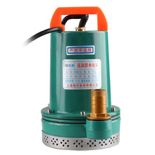 电瓶车抗旱浇灌 农用家用洗车抽水机直流水泵