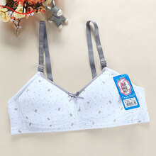 爱菲索 纯棉无钢圈中小学生内衣 <em>发育期少女文</em>