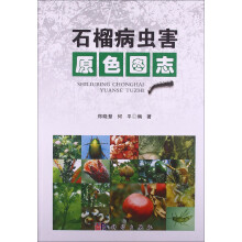 书籍图片