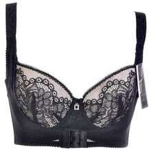 <em>菲黛尔</em>内衣菲常修身系列 全罩杯刺绣U型美背前