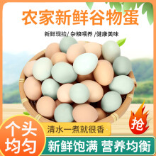 忆乡岭土鸡蛋乌鸡蛋组合装 农家生态散养新鲜谷物蛋 40枚