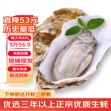 鲁禧 乳山生蚝鲜活6XL特大牡蛎 山东地标产品 新鲜海蛎子 刺身级生蚝 【特大号4XL号箱装5斤】