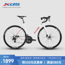 喜德盛（xds） 公路自行车2022款RC300 禧玛诺14速 机械碟刹 白色 700C*510