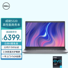 戴尔（DELL）灵越5391/5300 13.3英寸微边框超极本商务办公学生轻薄游戏笔记本电脑 i5-10210U MX330 2GB独显  4GB内存 256G固态硬盘 定制版