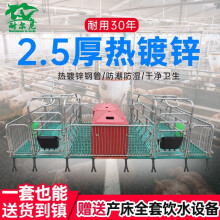 耐尔尼 双体母猪产床复合产保一体双床猪用保育分娩床带漏粪板养猪设备 全复合2.5高配（3.8*2.2米)
