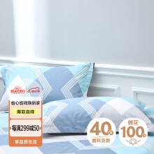 艾薇（AVIVI）全棉枕套 学生宿舍枕头套单人枕芯套 一个装 巴德尔 48*74cm