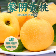京农人黄桃 蒙阴蜜桃2.25kg 新鲜水果桃子精品装 时令生鲜