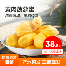 海南黄肉菠萝蜜 热带新鲜水果波罗蜜生鲜 黄肉菠萝蜜10-15斤【出果一般】